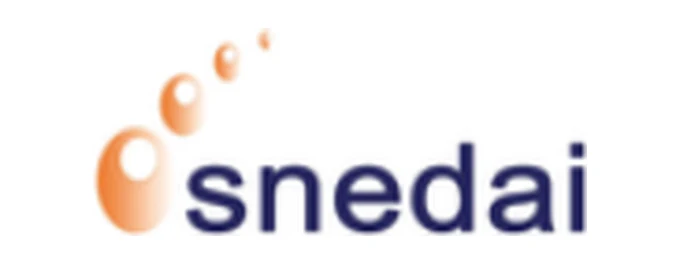 Snedai